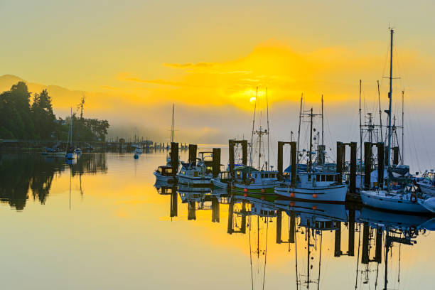 istock Vancouver Island British Columbia 1244418520