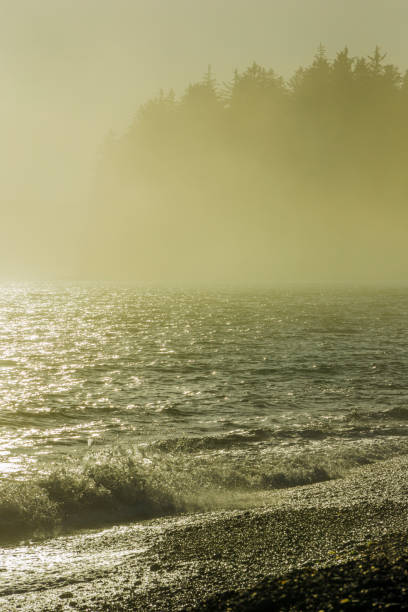 istock Vancouver Island British Columbia 1244418539