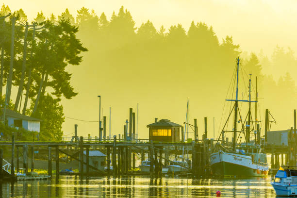 istock Vancouver Island British Columbia 1244419610