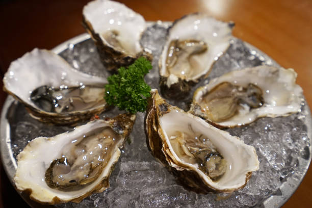 istock Close up Fresh oysters on crushed ice cube 1244434776