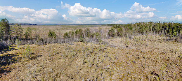 aerial view of northern peat swamp under sky with clowds