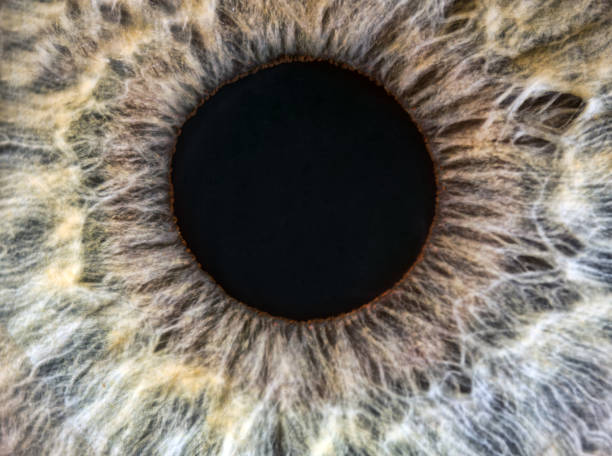 istock human yellow and grey eye extreme macro 1244450321