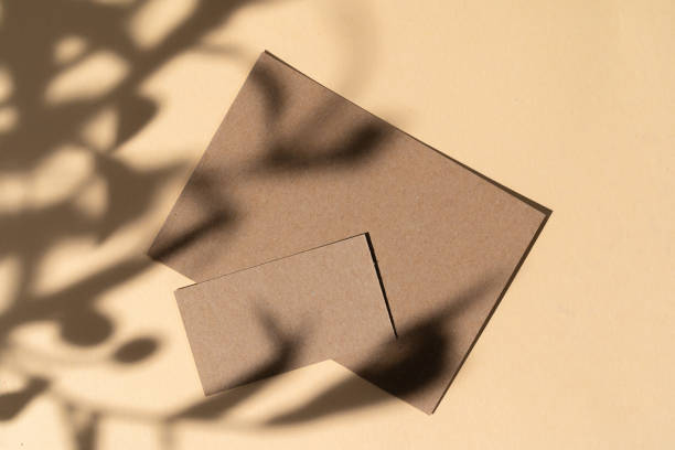 istock Blank white businesscard on beige background with creative floral shadow 1244454121