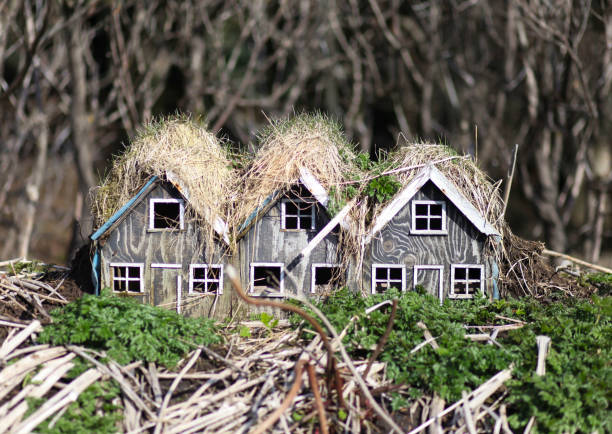 Old thatched roof overgrown with moss