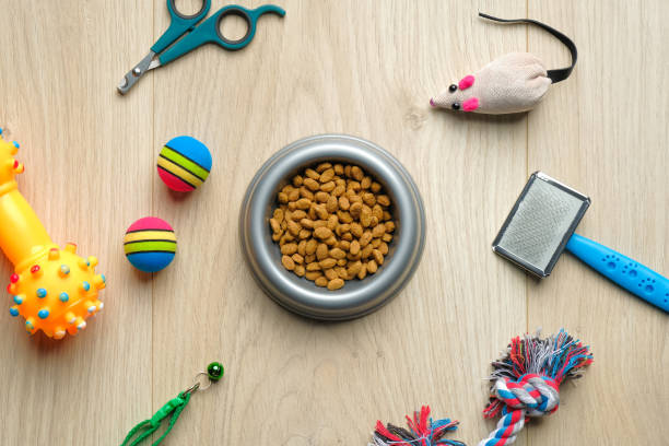 tigela com comida de kibble seco e acessórios de gato na mesa de madeira. top view pet care and training concept. maquetes de banner de loja veterinária. - pet toy - fotografias e filmes do acervo