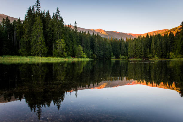 istock Beautiful landscape with mountains illuminated, reflection in mountain lake, blue sky and yellow sunlight. Slovakia, Vrbicke Pleso 1244473994