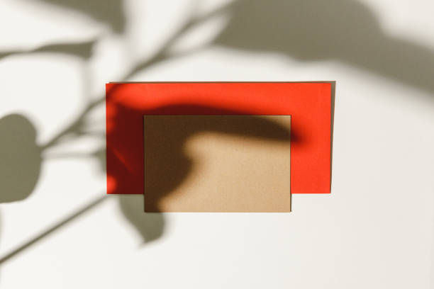 istock Business card on paper background with foliage shadow 1244474769