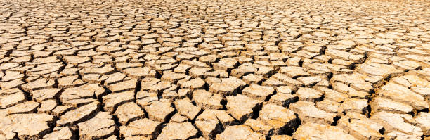 istock Panorama Top brown dry and cracked ground.Global warming effect. 1244479080