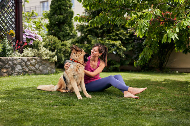 istock Woman playing with her dog in backyard. 1244500538