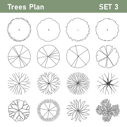 Treeplan Legend Tree Plan Top View For Landscape Set 1 Stock Illustration - Download ...