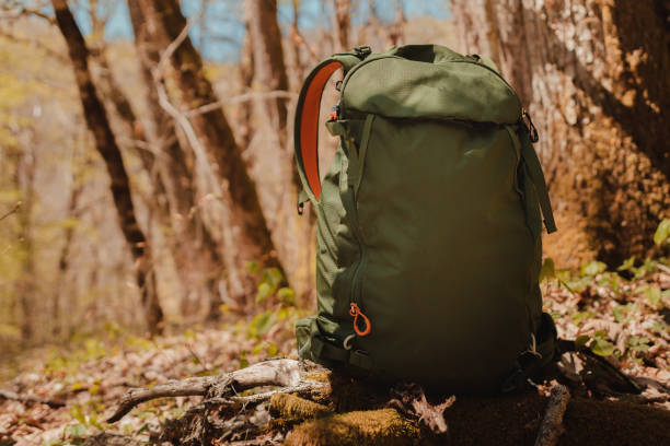 istock Green hiking backpack standing in the spring forest 1244534219