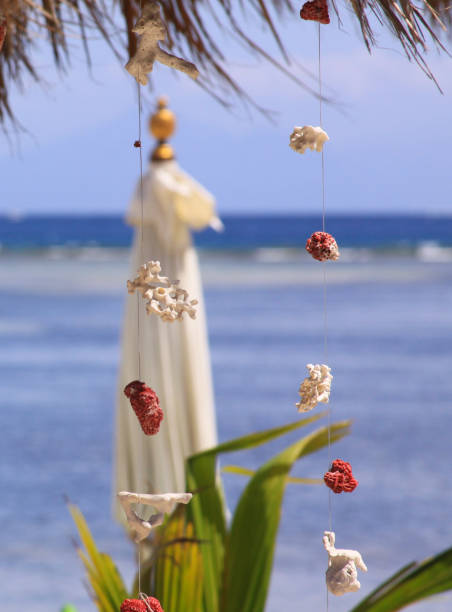 istock Coral pieces hanging on wire at tropical beach bar 1244537443