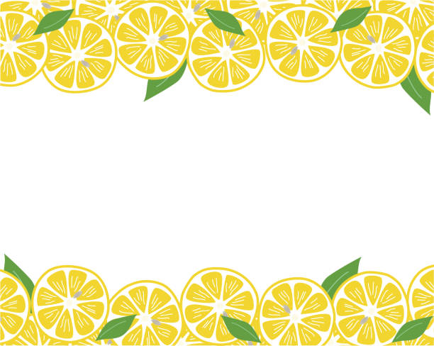 This is an illustration of a hand-painted lemon and leaf background frame. This is an illustration of a hand-painted lemon and leaf background frame. citric acid stock illustrations