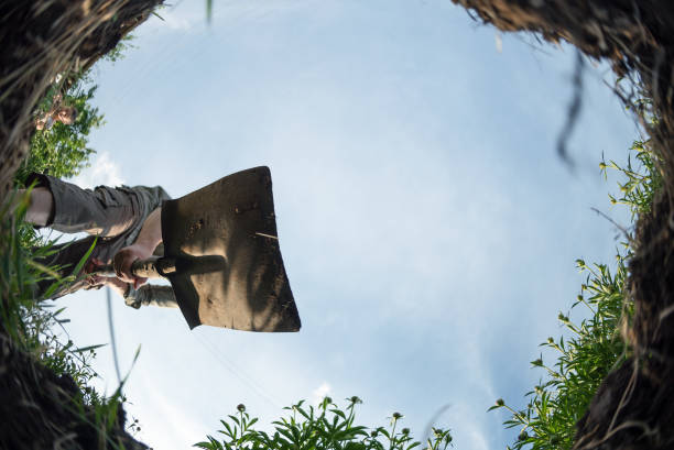 Man with shovel. Man digs a hole with a shovel. burying stock pictures, royalty-free photos & images