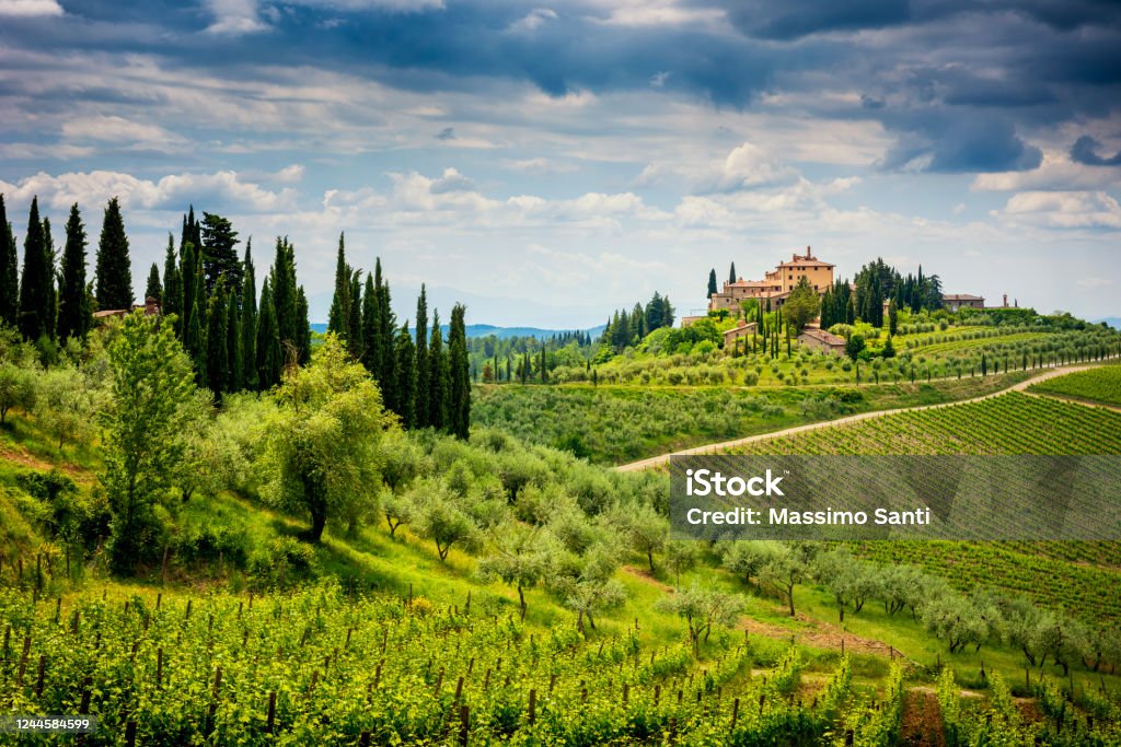 Chianti hills with vineyards and cypress. Tuscan Landscape between Siena and Florence. Italy The Chianti Hills (also known as the Chianti Mountains) are a short mountain range (about 20 km) straddling the provinces of Florence, Siena and Arezzo that mark the eastern border of the Chianti region with the Valdarno and the Val di Chiana . The chianti hills are famous for the vineyards where you get a wine known all over the world. Italy Stock Photo