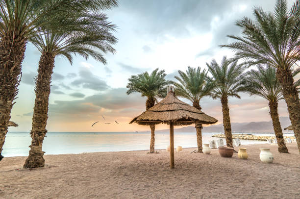 istock Morning on central public beach in Eilat 1244589324