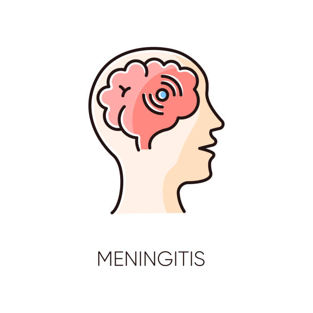 ilustrações, clipart, desenhos animados e ícones de ícone de cor rgb de meningite. doença meningocócica contagiosa, meninges perigosas inflamação. diagnóstico médico, doença neurológica. ilustração de vetor isolado de infecção cerebral bacteriana - meningite