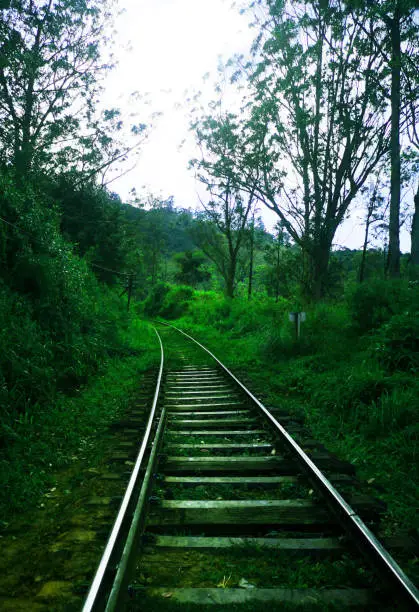 Photo of Railway track - Upcountry