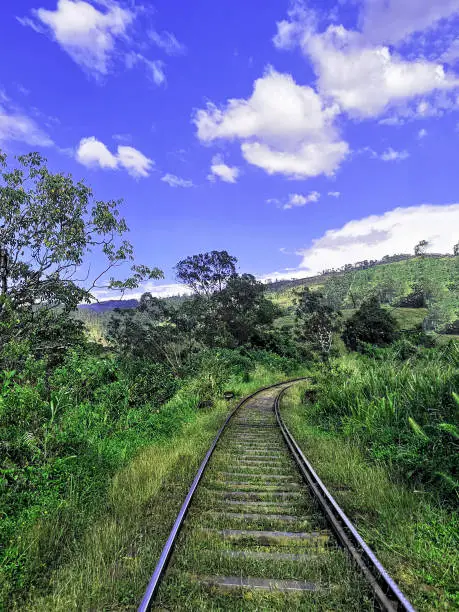 Photo of Railway track - Upcountry