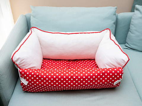 A light gray three seater sofa with armrests and five colored cushions isolated on a blank empty background.