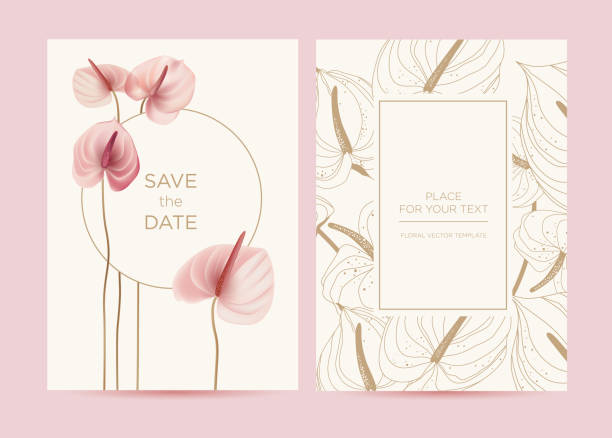 Pink anthurium flowers on a delicate background. Wedding invitation in the botanical style. Background for the invitation, shop, beauty salon, spa. anthurium stock illustrations