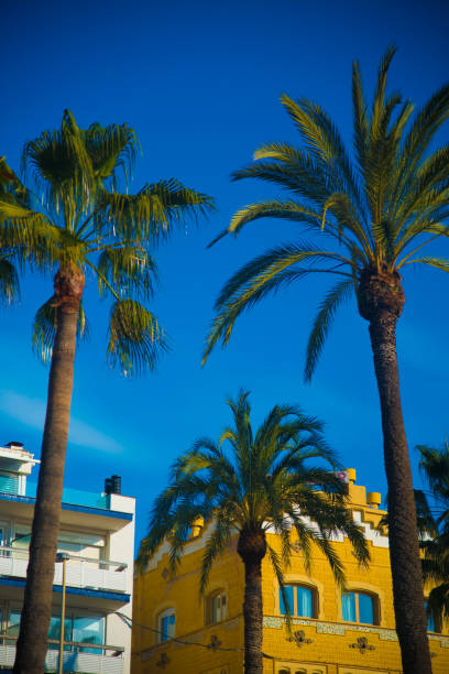 istock Spanish Beach Resort in Barcelona, Spain 1244679873