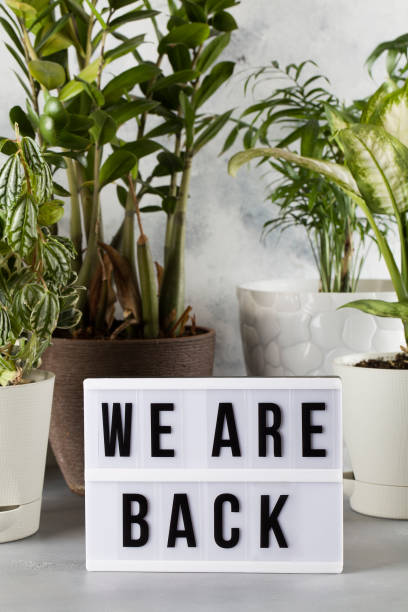 istock light box with text WE ARE BACK among the plants in pots 1244686594