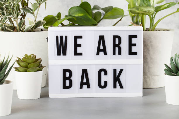 istock light box with text WE ARE BACK among the plants in pots 1244687107