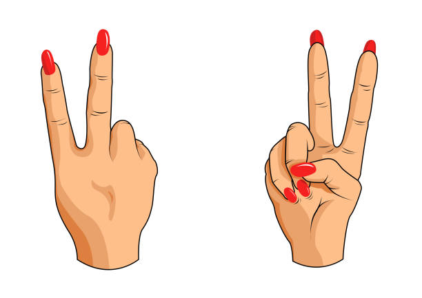 V Sign Symbol Of Peace Peace Sign Stock Illustration - Download