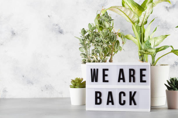 istock light box with text WE ARE BACK among the plants in pots 1244692471