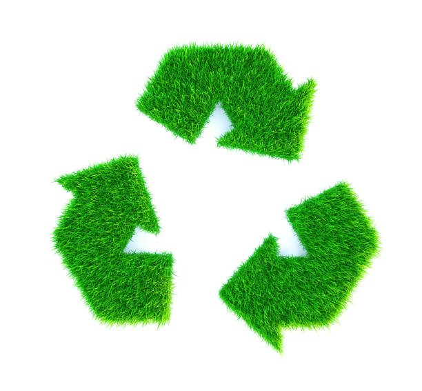 istock Recycling Symbol from Grass , Isolated on white 1244711395