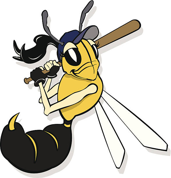 ilustrações de stock, clip art, desenhos animados e ícones de casaco amarelo softball - color image batting illustration technique adult