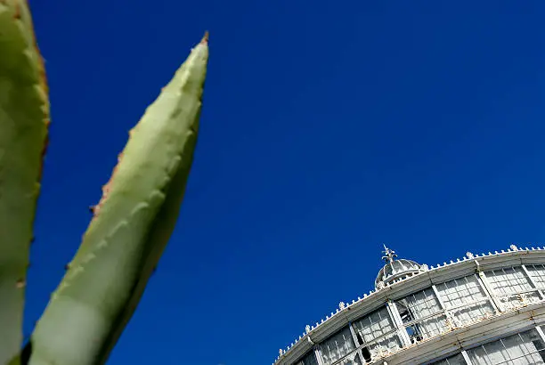 Photo of Botanic Greenhouse