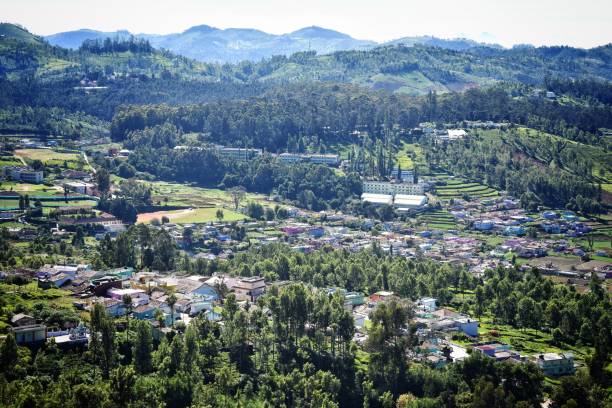 istock Ariel View Of A City 1244729583
