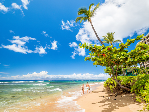 Looking of Kaanapali Beach, Maui, Hawaii. With three miles of white sand and crystal clear water, no wonder why Kaanapali Beach was once named America Best Beach