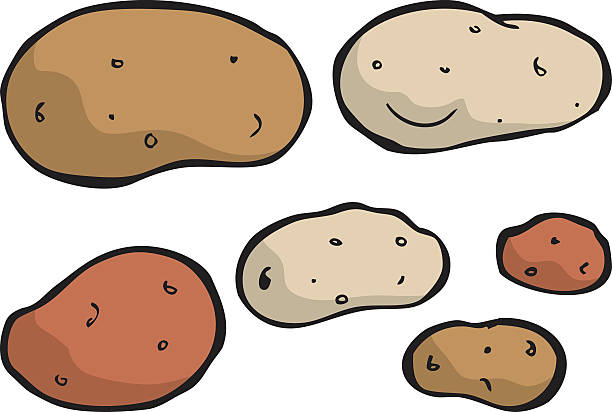illustrazioni stock, clip art, cartoni animati e icone di tendenza di taters - patata cruda