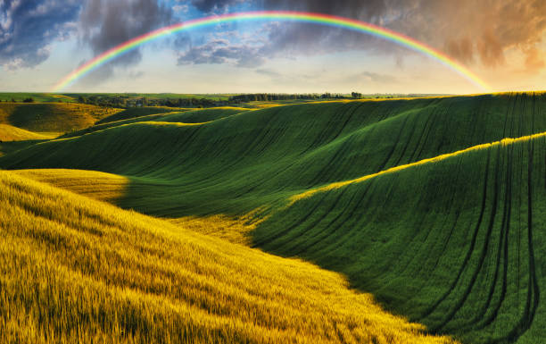 scenisk utsikt över regnbågen över grönt fält - ukraine grass bildbanksfoton och bilder