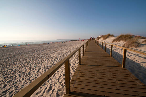 istock Wooden walk on the beach at sunset 1244763931
