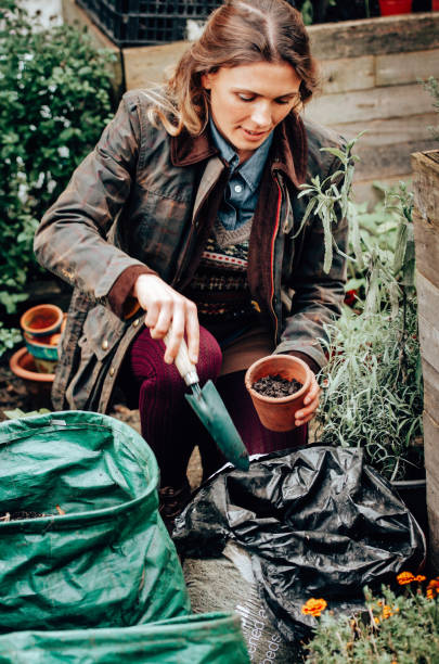 istock woman doing gardening outdoors 1244774831
