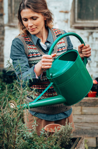 istock woman gardening 1244780330