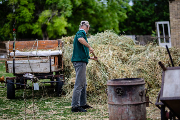 istock Senior farmer working with pitchfork Stock photo 1244809049