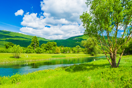 Mobile shot Summer field pond meadow Switzerland