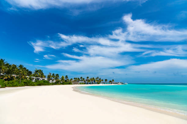 istock Perfect tropical island paradise beach 1244818634