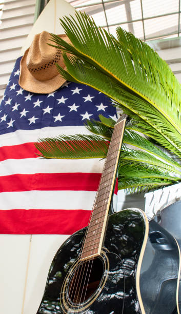 USA Flag on a white surfboard with a straw hat, black background, and a guitar.