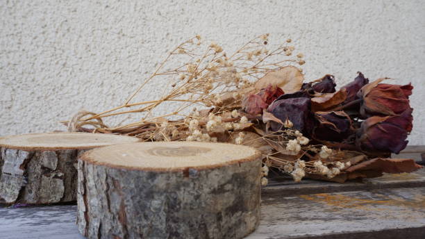 istock Dried rose and timber on a white background 1244825728