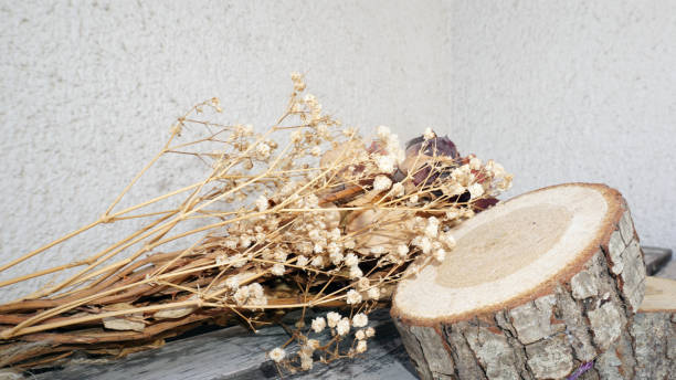 istock Dried rose and timber on a white background 1244825738