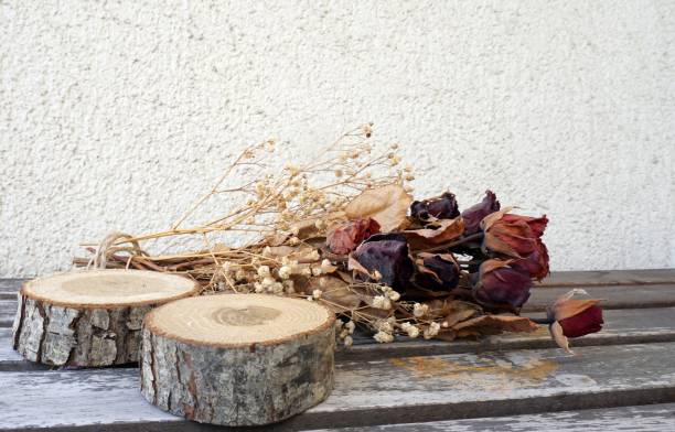 istock Dried rose and timber on a white background 1244825741