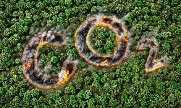 istock Global warming. Forest fire in form of co2 sign. 3d illustration 1244832432