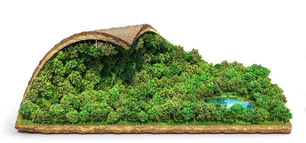 istock Eco concept. Forest carpet with curved edge. 3d illustration 1244834748