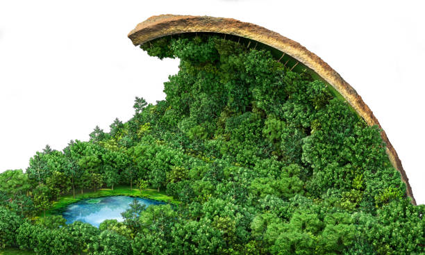 istock Eco concept. Forest carpet with curved edge. 3d illustration 1244834761